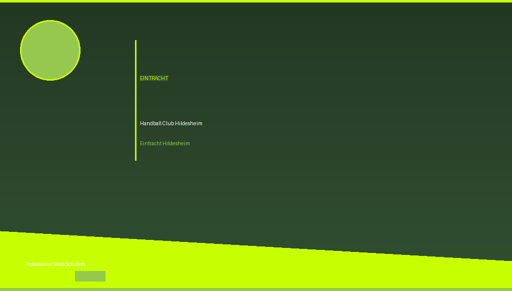 Eintracht Hildesheim Website