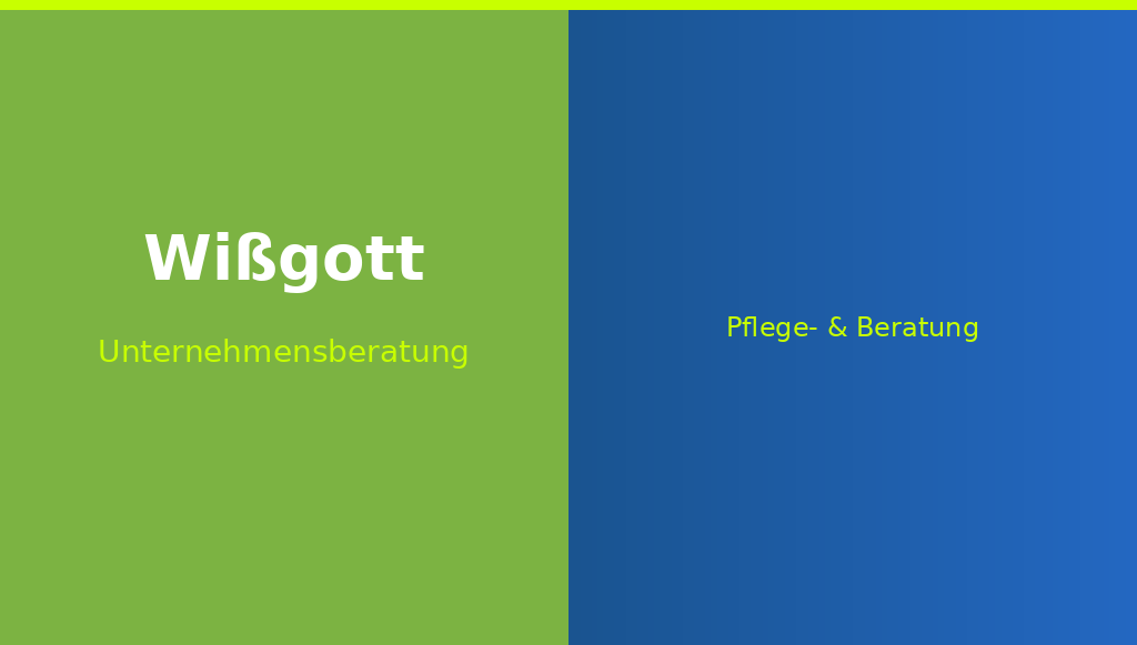Unternehmensberatung Wißgott Website