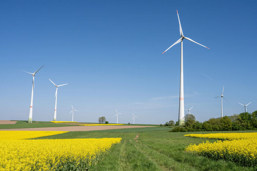 Ökologisches Webhosting – Nachhaltige Server mit Ökostrom für umweltfreundliche Websites